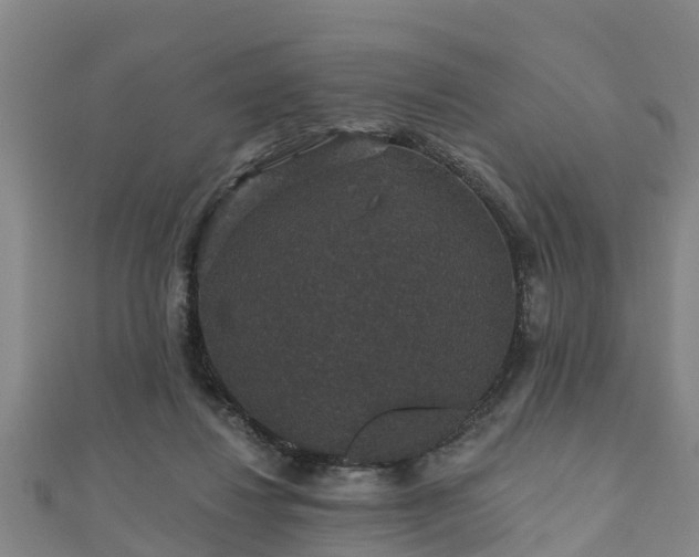 X0000111590260200907231220