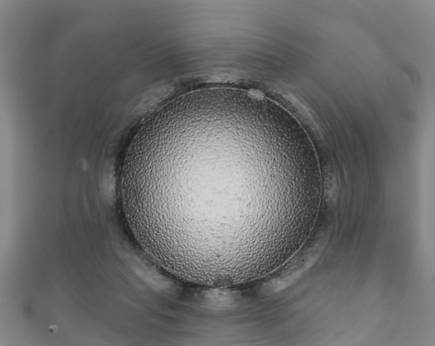 X0000111590261200907231220