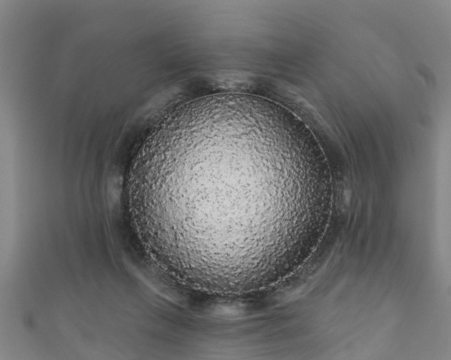 X0000111590263200907231220