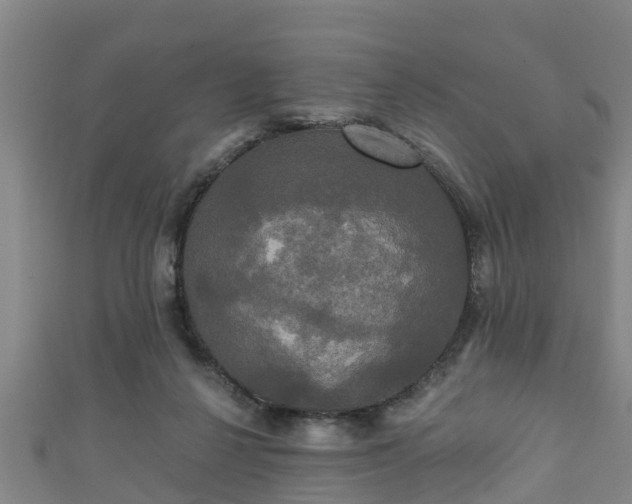 X0000111590264200907231220