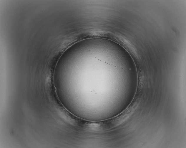 X0000111590265200907231220