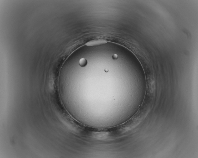 X0000111590266200907231220