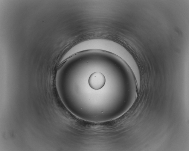 X0000111590268200907231220