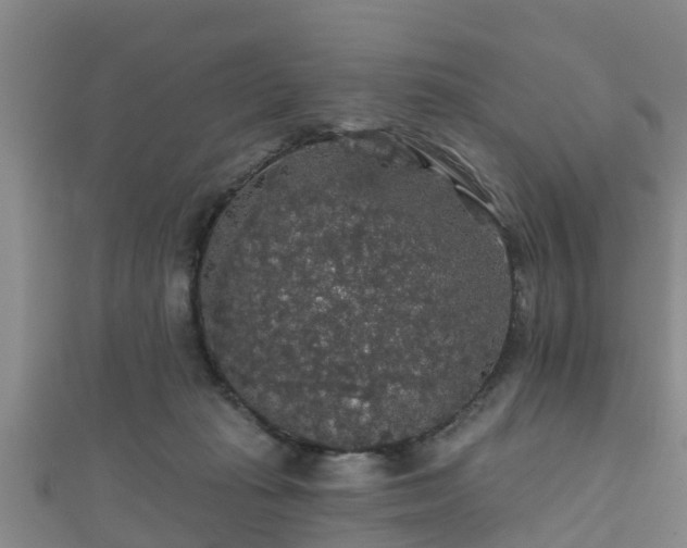 X0000111590269200907231220