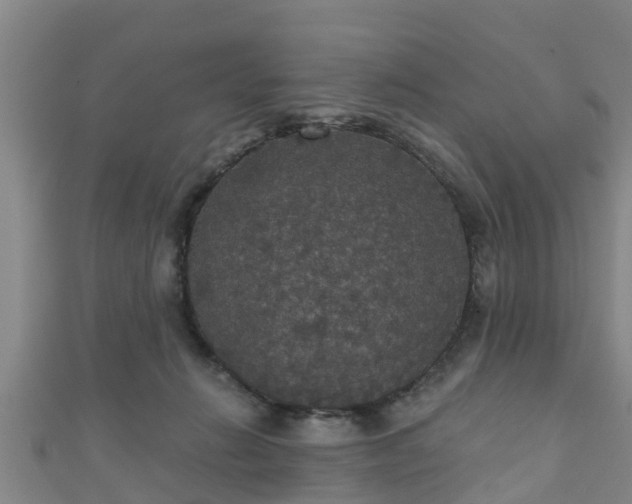 X0000111590270200907231220