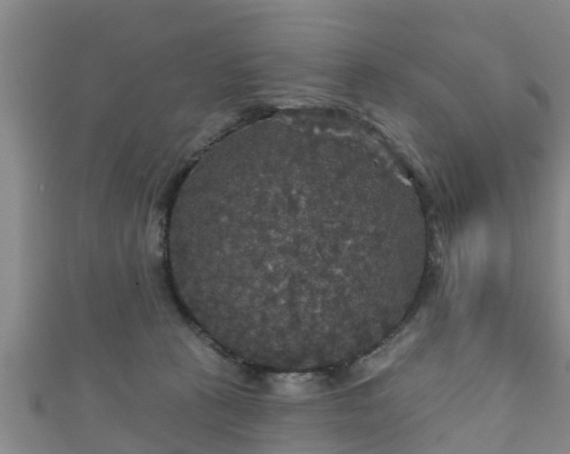 X0000111590273200907231221