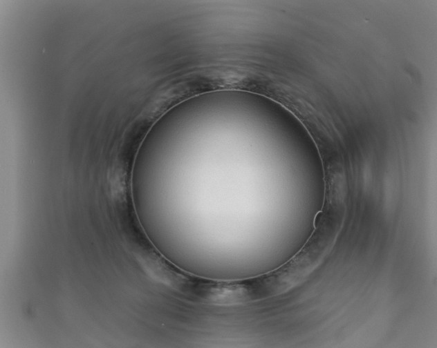 X0000111590274200907231221