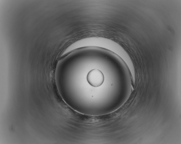 X0000111590276200907231221