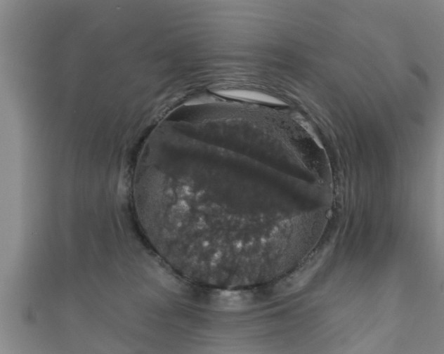 X0000111590277200907231221