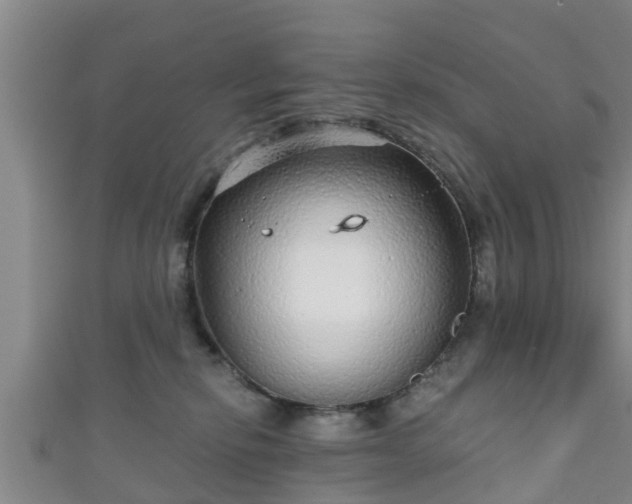 X0000111590278200907231221