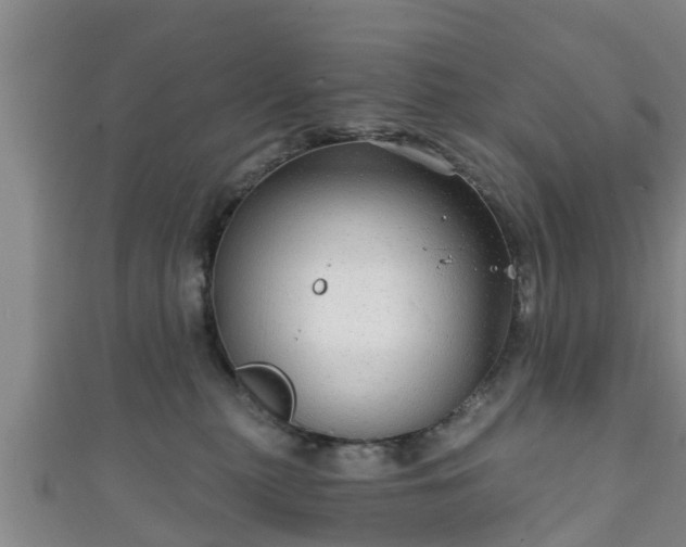 X0000111590279200907231221