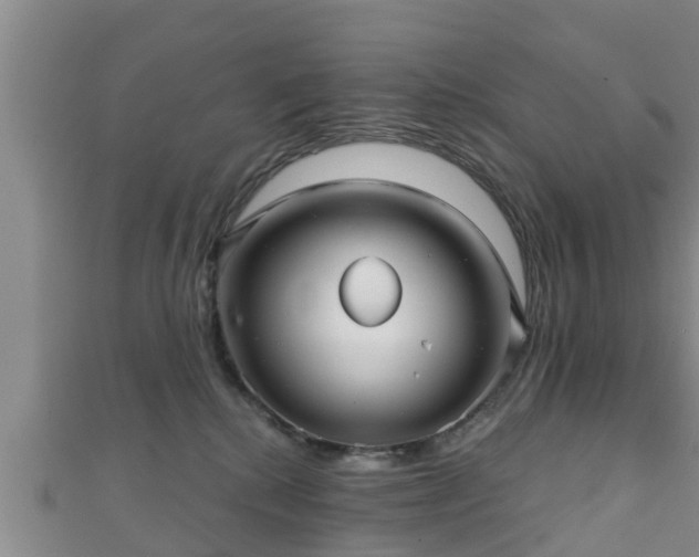 X0000111590280200907231221