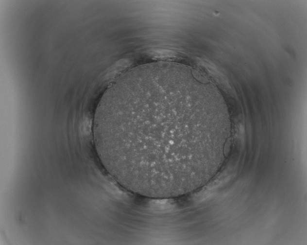 X0000111590281200907231221