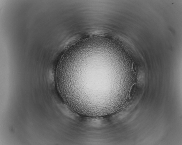 X0000111590282200907231221