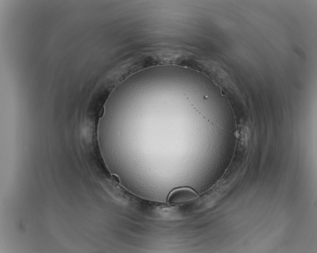 X0000111590283200907231221