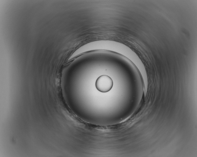 X0000111590284200907231221