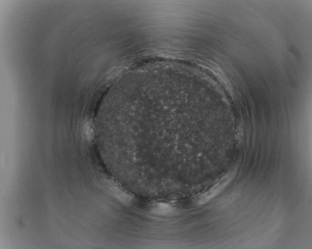 X0000111590285200907231221