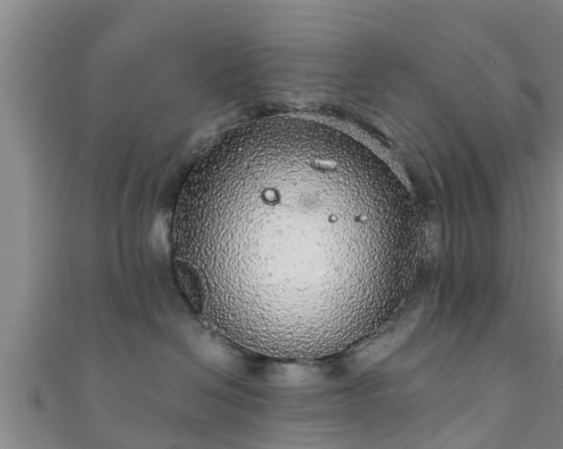 X0000111590286200907231221