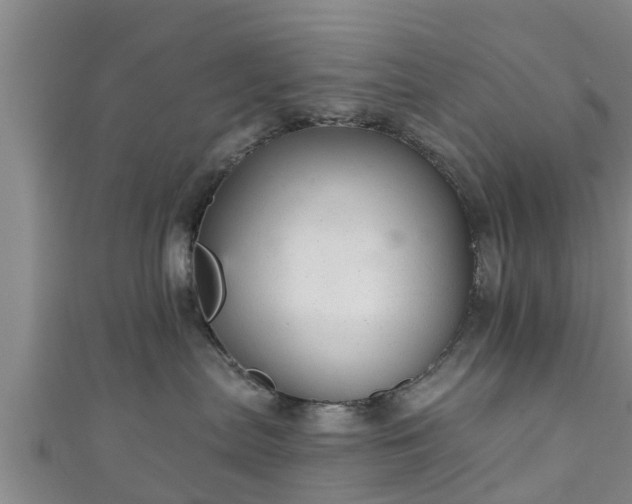 X0000111590287200907231221