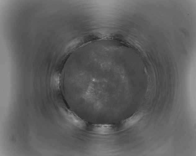 X0000111590288200907231221