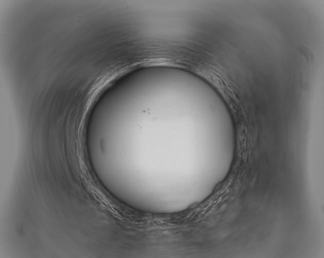 X0000111590289200907231220