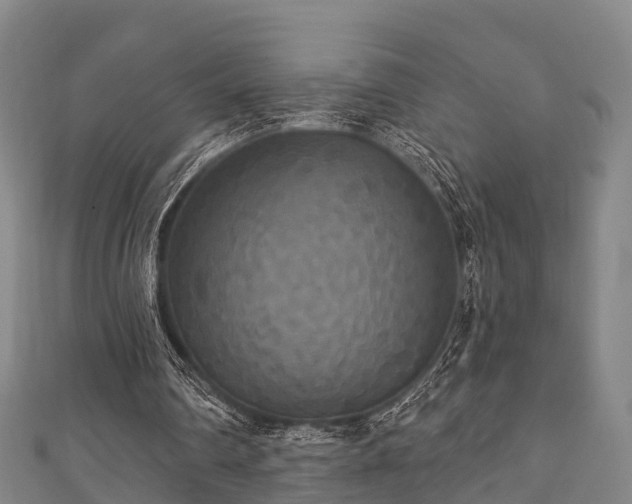 X0000111590290200907231220