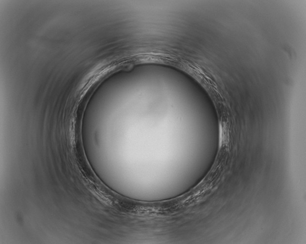 X0000111590291200907231220