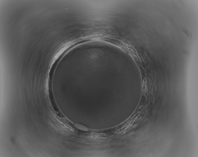 X0000111590292200907231220