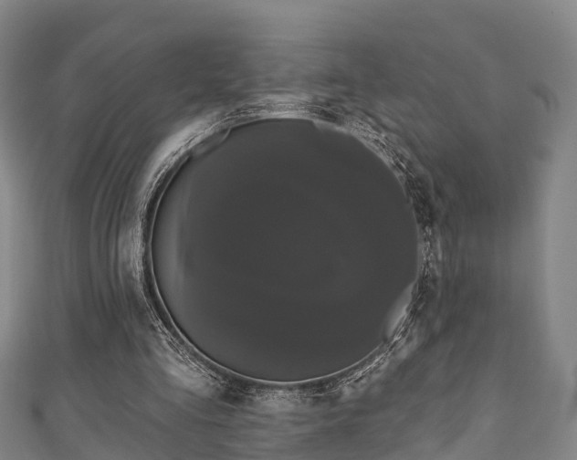 X0000111590293200907231220