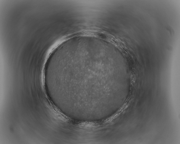 X0000111590294200907231220