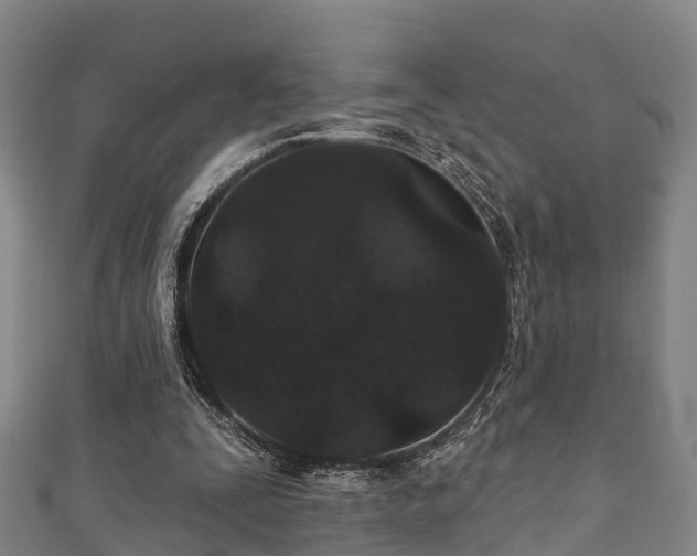 X0000111590295200907231220