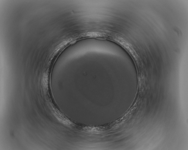 X0000111590297200907231220