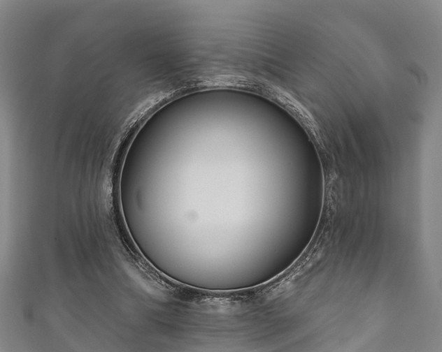 X0000111590298200907231220