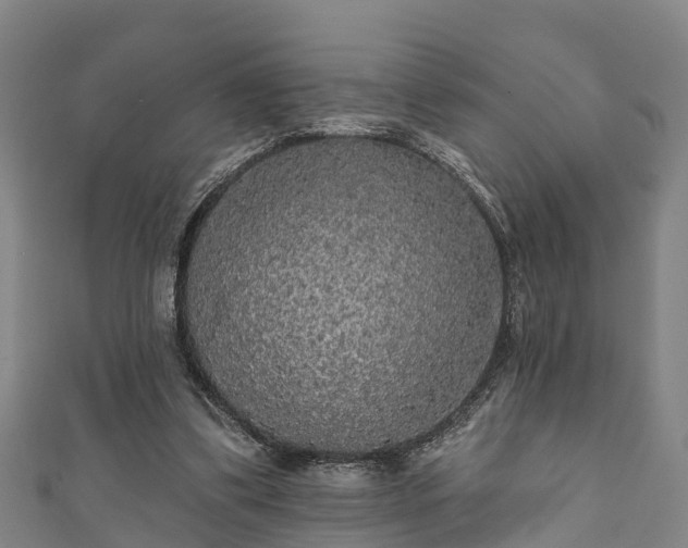 X0000111590299200907231220