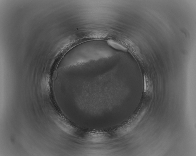 X0000111590300200907231220