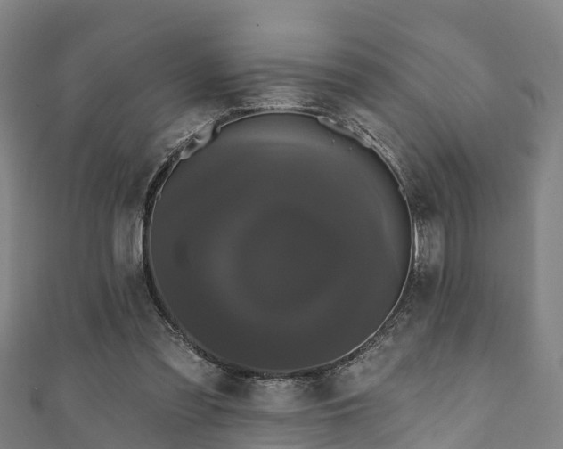 X0000111590301200907231220