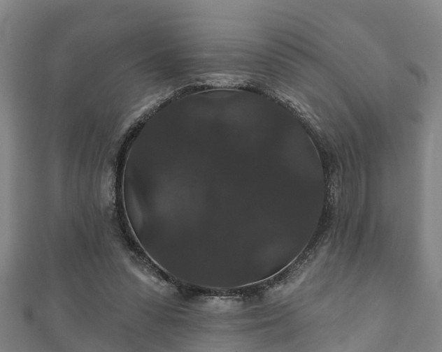 X0000111590303200907231220