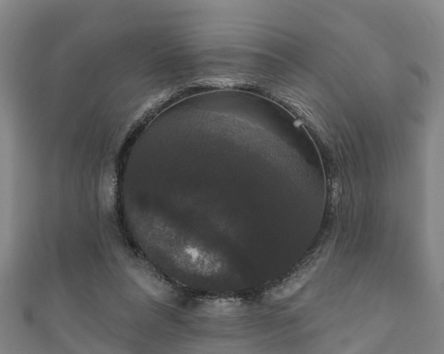 X0000111590304200907231220