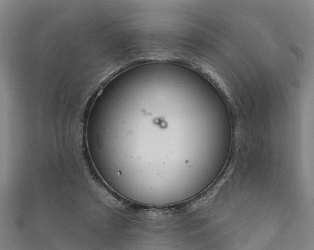 X0000111590305200907231220