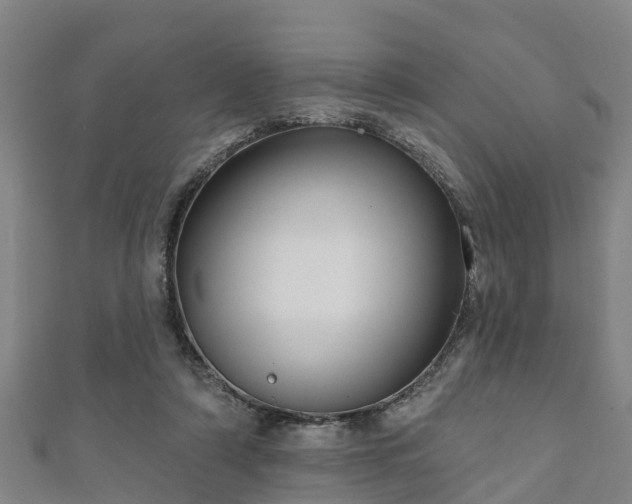 X0000111590306200907231220