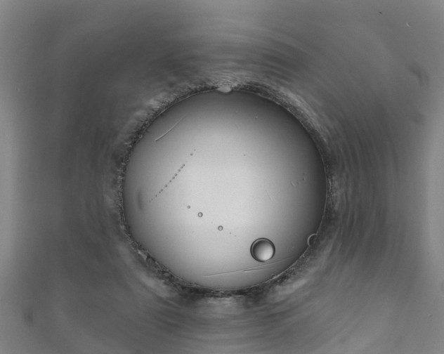 X0000111590307200907231220