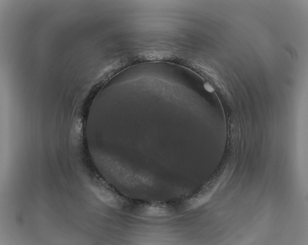 X0000111590308200907231220