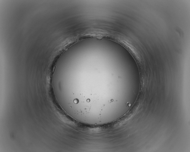 X0000111590309200907231220