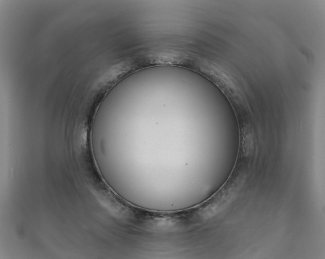 X0000111590310200907231220