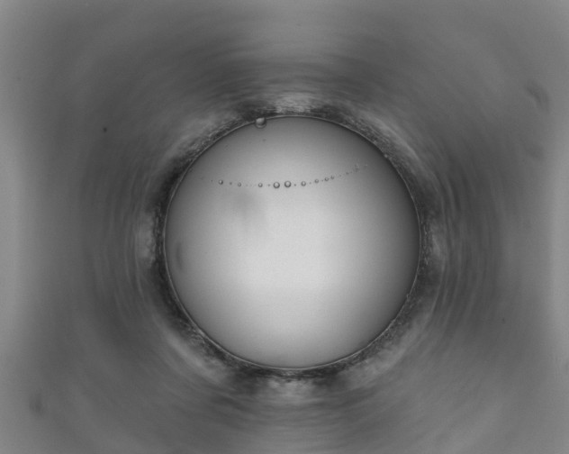 X0000111590311200907231220