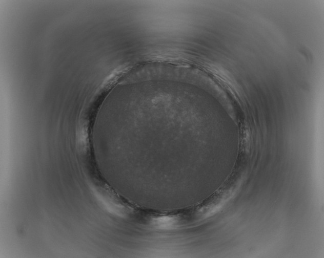 X0000111590312200907231220