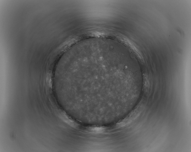 X0000111590313200907231220