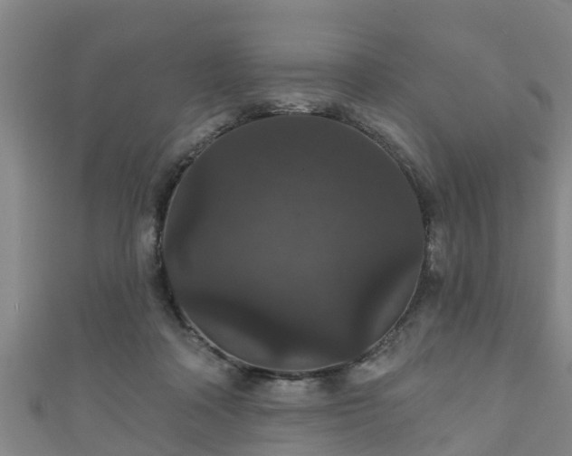 X0000111590314200907231220