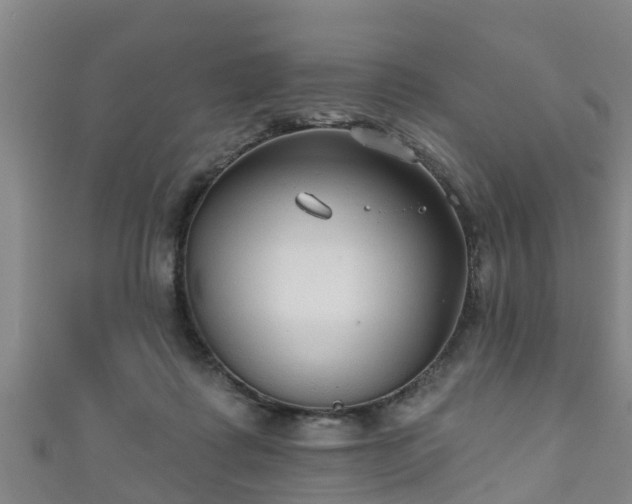 X0000111590315200907231220