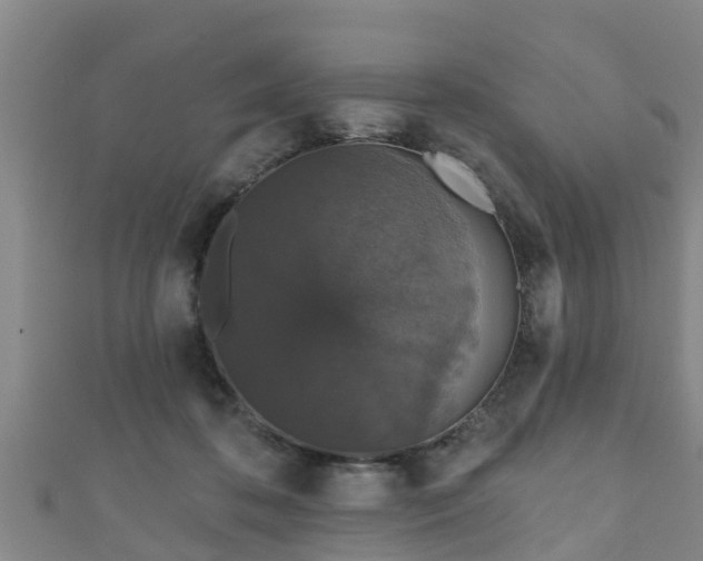 X0000111590316200907231220